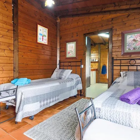 Holiday home Con Piscina Arafo